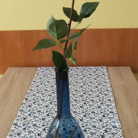 Apartament Wakacyjny Ustron4u ウストロン